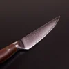 Steak knife Cocobolo Wood 135 mm. | Eclipses Series