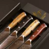 Steak knives - Set of 4 - 135 mm. | Eclipses Series
