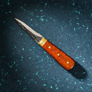Damascus oyster knife with snakewood handle