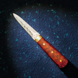 Damascus oyster knife with snakewood handle